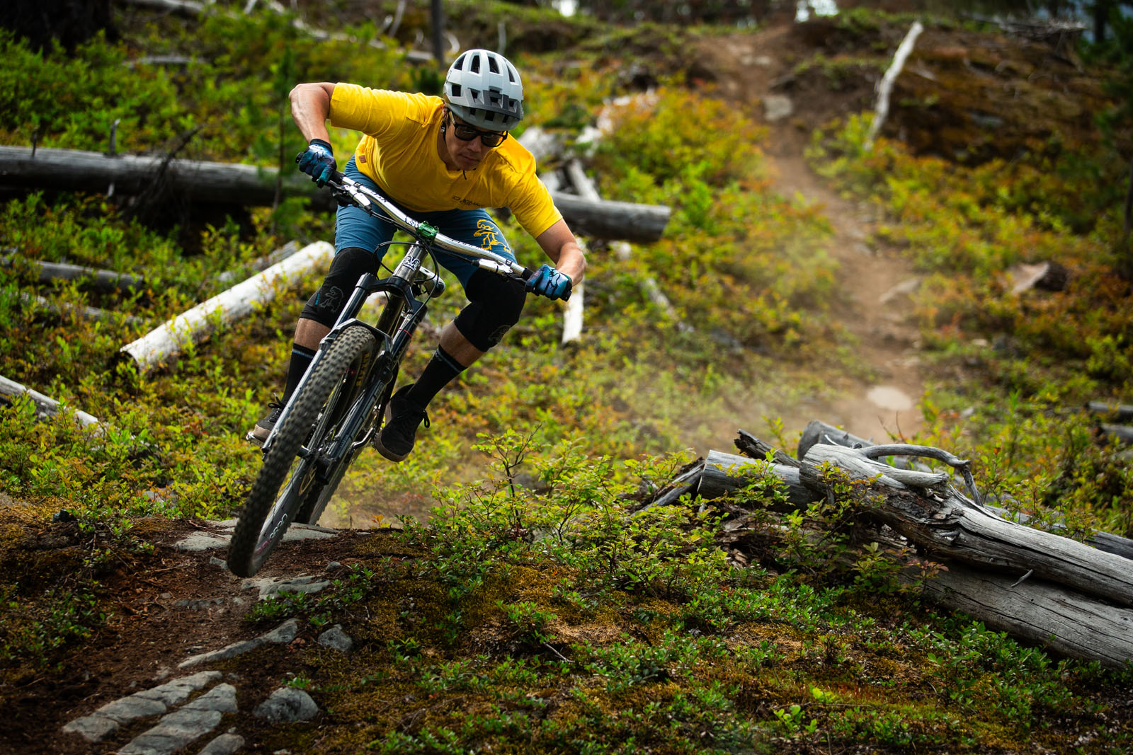 Chromag Chronicles: A Hardtail Rider's Quest from Tokyo to Whistler