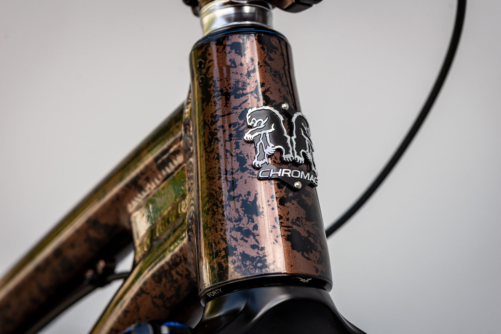 Showroom Signature